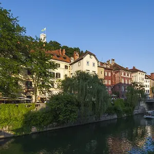 Adhoc Eslovenia